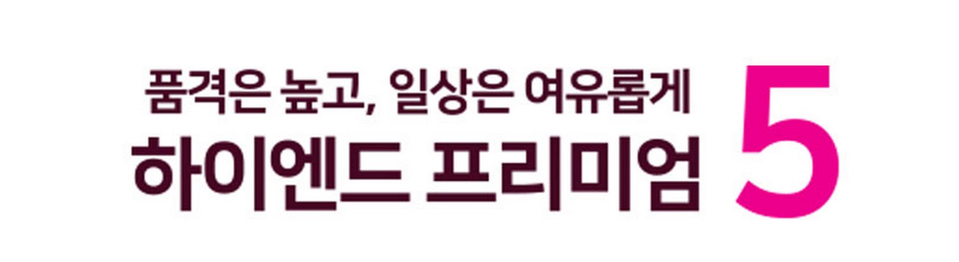 하이엔드 프리미엄 5